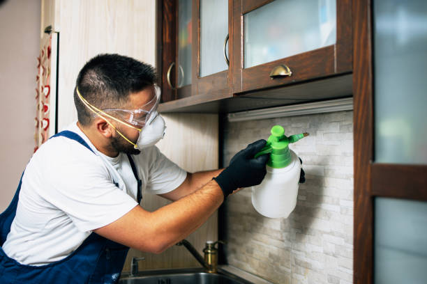 Hebbronville, TX Pest Control Company