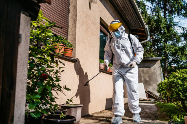 Best Wasp Removal Services  in Hebbronville, TX