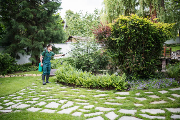 Best Ant Control Services  in Hebbronville, TX