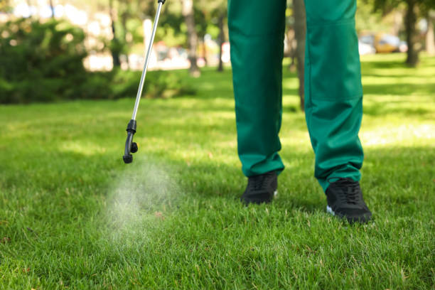 Best Residential Pest Control  in Hebbronville, TX