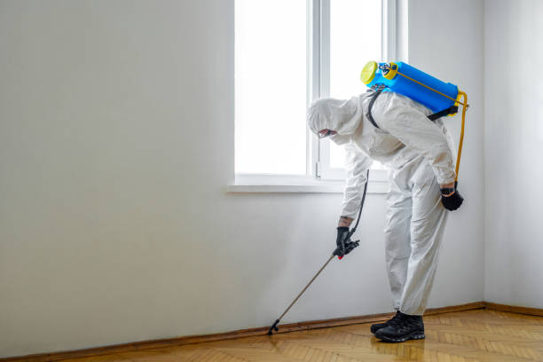 Best Wildlife Control Services  in Hebbronville, TX