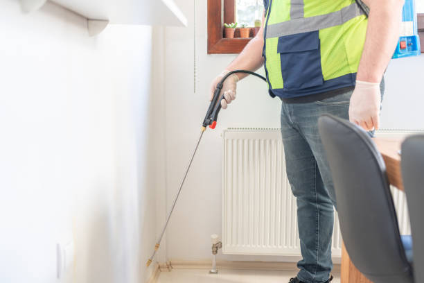 Best Pest Control Near Me  in Hebbronville, TX