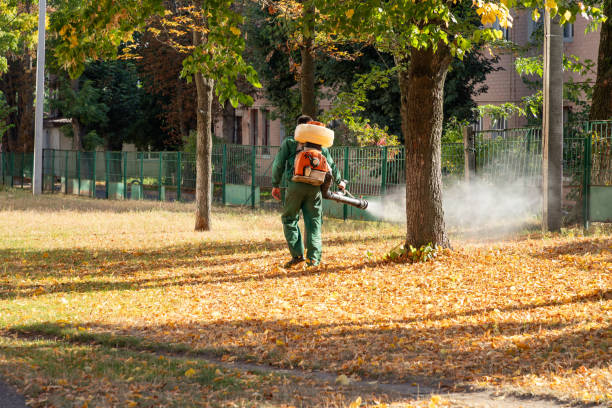 Best Exterminator Services  in Hebbronville, TX
